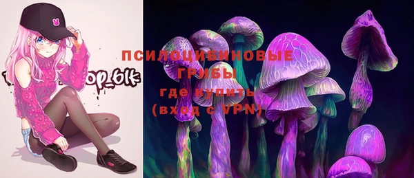 не бодяженный Алексин